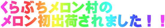くらぶちメロン村の メロン初出荷されました！！