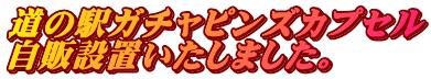 道の駅ガチャピンズカプセル 自販設置いたしました。